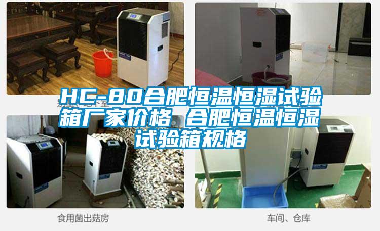 HC-80合肥恒溫恒濕試驗箱廠家價格 合肥恒溫恒濕試驗箱規格