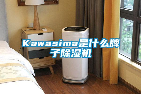 Kawasima是什么牌子除濕機(jī)