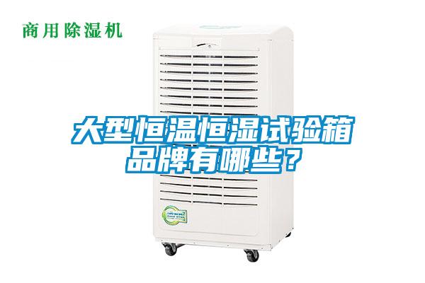 大型恒溫恒濕試驗箱品牌有哪些？