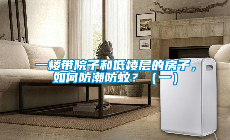 一樓帶院子和低樓層的房子，如何防潮防蚊？（一）