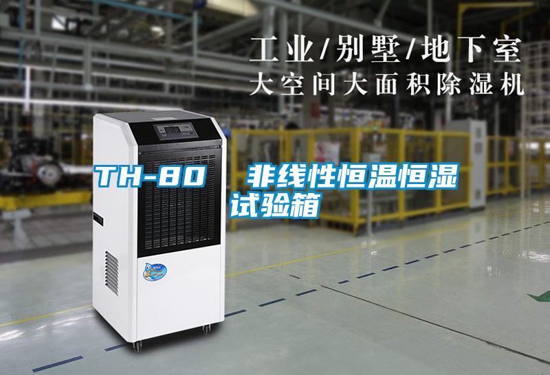 TH-80  非線性恒溫恒濕試驗箱