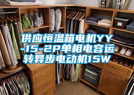 供應(yīng)恒溫箱電機(jī)YY-15-2P單相電容運(yùn)轉(zhuǎn)異步電動機(jī)15W