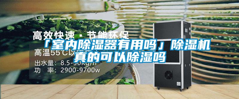 「室內(nèi)除濕器有用嗎」除濕機真的可以除濕嗎