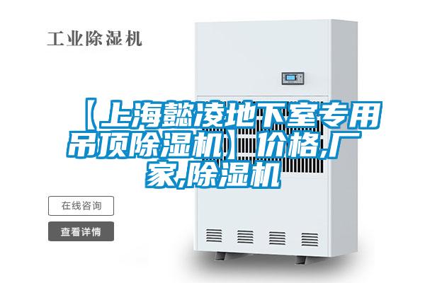 【上海懿凌地下室專用吊頂除濕機(jī)】?jī)r(jià)格,廠家,除濕機(jī)