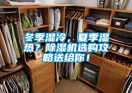 冬季濕冷，夏季濕熱？除濕機選購攻略送給你！