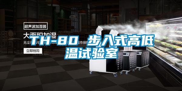 TH-80 步入式高低溫試驗室
