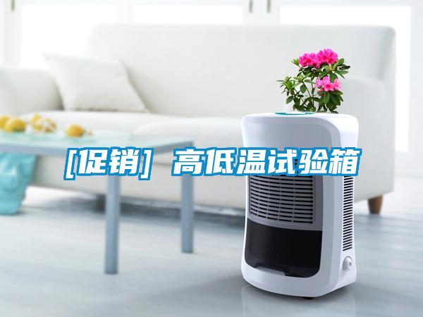 [促銷] 高低溫試驗(yàn)箱