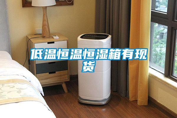 低溫恒溫恒濕箱有現貨