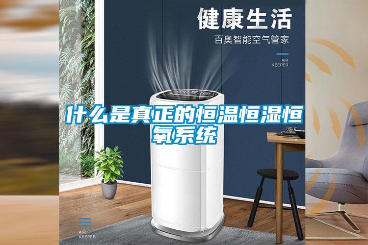 什么是真正的恒溫恒濕恒氧系統(tǒng)