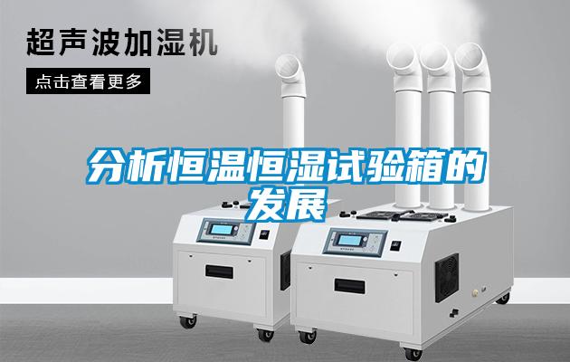 分析恒溫恒濕試驗(yàn)箱的發(fā)展