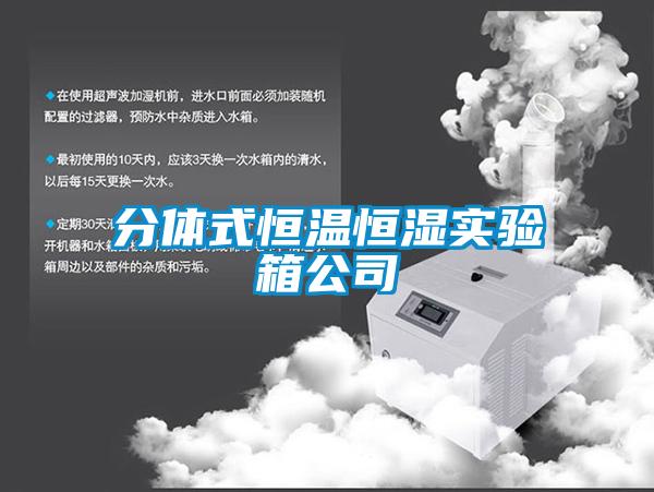 分體式恒溫恒濕實(shí)驗(yàn)箱公司