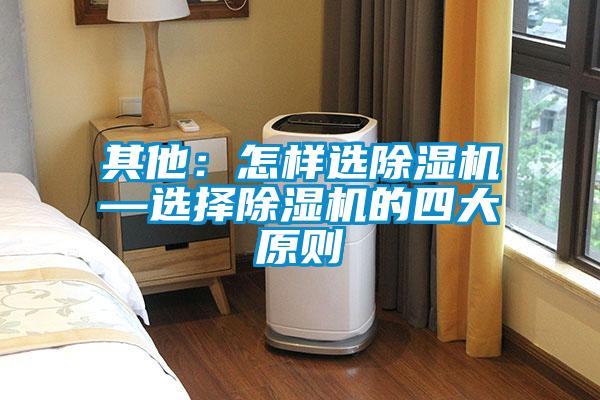 其他：怎樣選除濕機(jī)—選擇除濕機(jī)的四大原則