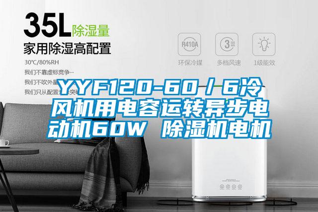 YYF120-60／6冷風機用電容運轉異步電動機60W 除濕機電機