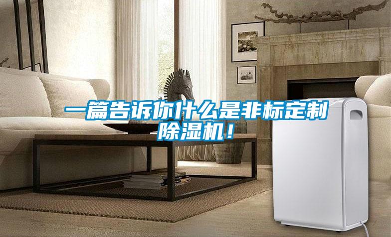一篇告訴你什么是非標定制除濕機！