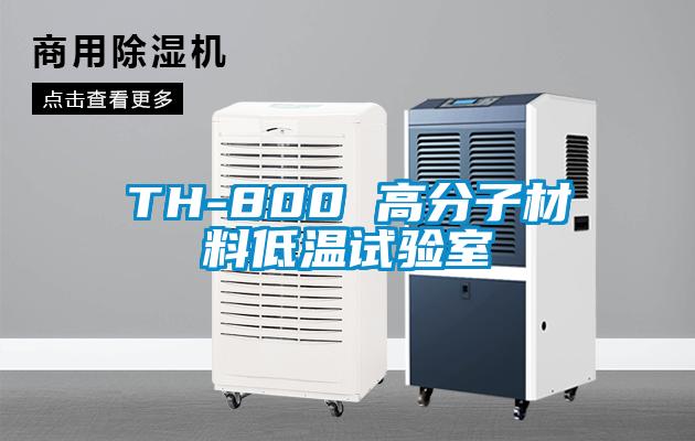 TH-800 高分子材料低溫試驗室