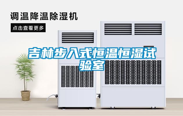 吉林步入式恒溫恒濕試驗室