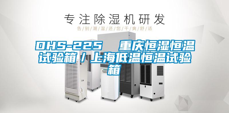 DHS-225  重慶恒濕恒溫試驗箱／上海低溫恒溫試驗箱