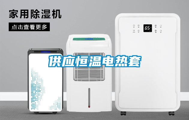 供應(yīng)恒溫電熱套