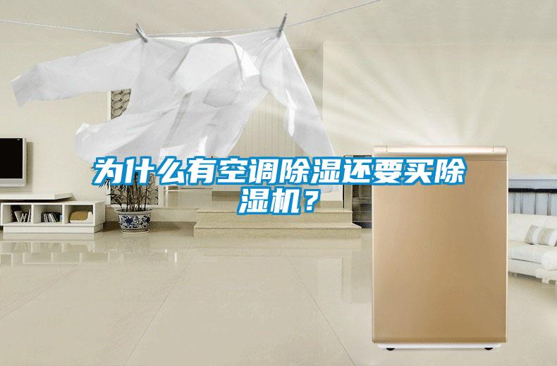 為什么有空調除濕還要買除濕機？