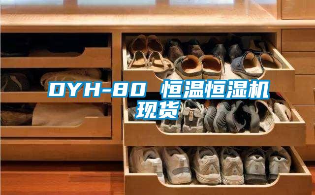 DYH-80 恒溫恒濕機現貨
