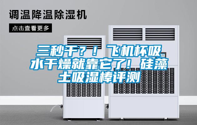 三秒干？! 飛機杯吸水干燥就靠它了! 硅藻土吸濕棒評測
