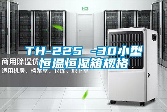 TH-225 -30小型恒溫恒濕箱規(guī)格