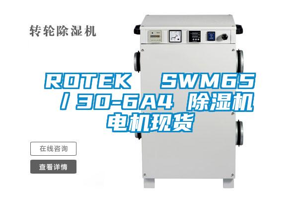 ROTEK  SWM65／30-6A4 除濕機(jī)電機(jī)現(xiàn)貨