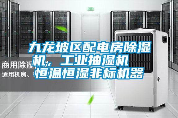 九龍坡區(qū)配電房除濕機，工業(yè)抽濕機  恒溫恒濕非標機器