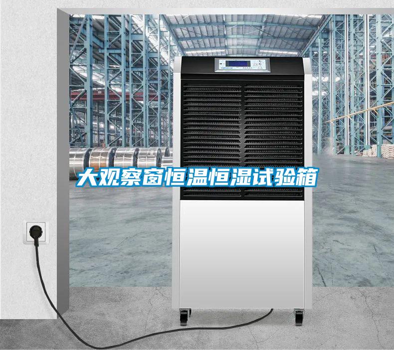 大觀察窗恒溫恒濕試驗箱