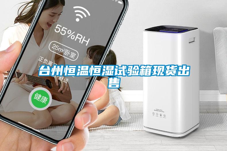 臺(tái)州恒溫恒濕試驗(yàn)箱現(xiàn)貨出售