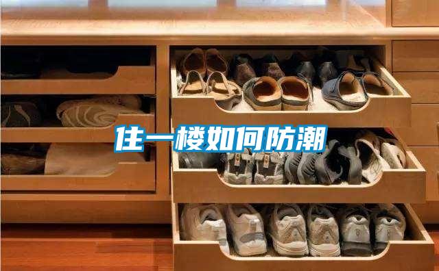 住一樓如何防潮