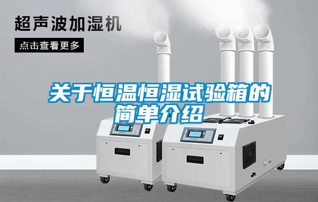 關于恒溫恒濕試驗箱的簡單介紹