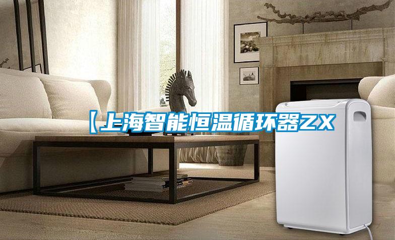 【上海智能恒溫循環器ZX