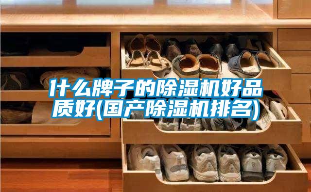 什么牌子的除濕機好品質好(國產除濕機排名)