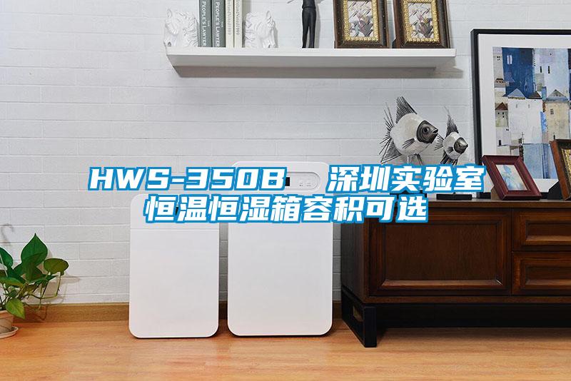 HWS-350B  深圳實驗室恒溫恒濕箱容積可選