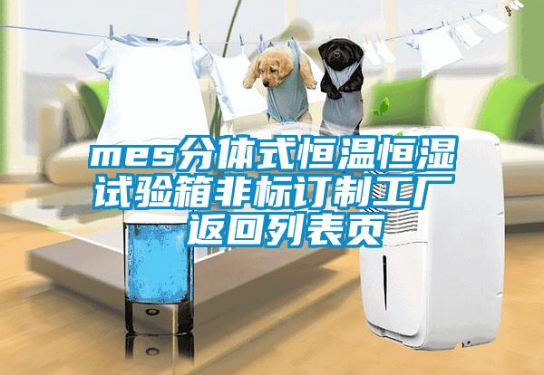 mes分體式恒溫恒濕試驗箱非標訂制工廠 返回列表頁