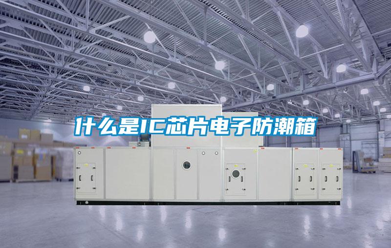 什么是IC芯片電子防潮箱