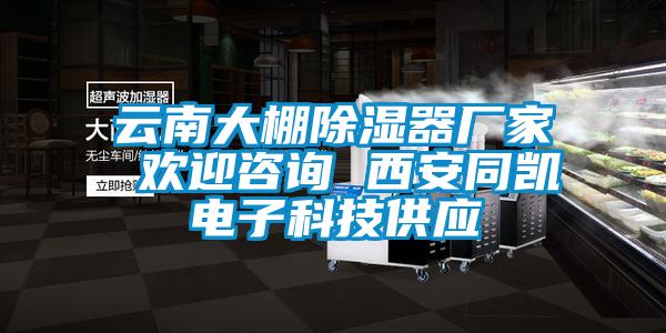 云南大棚除濕器廠家 歡迎咨詢 西安同凱電子科技供應