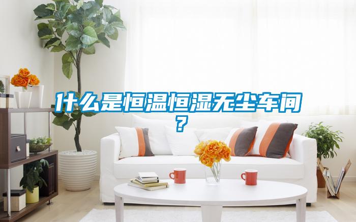 什么是恒溫恒濕無塵車間？
