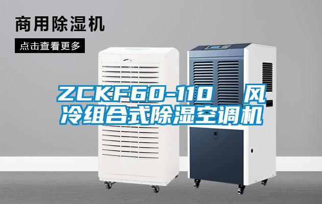ZCKF60-110  風冷組合式除濕空調機