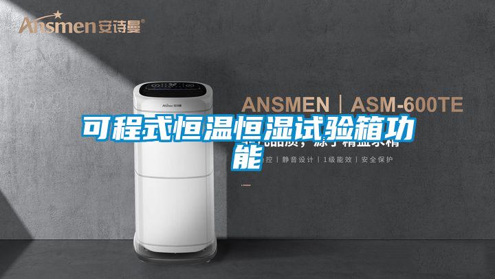 可程式恒溫恒濕試驗箱功能