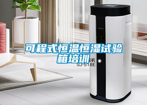 可程式恒溫恒濕試驗(yàn)箱培訓(xùn)