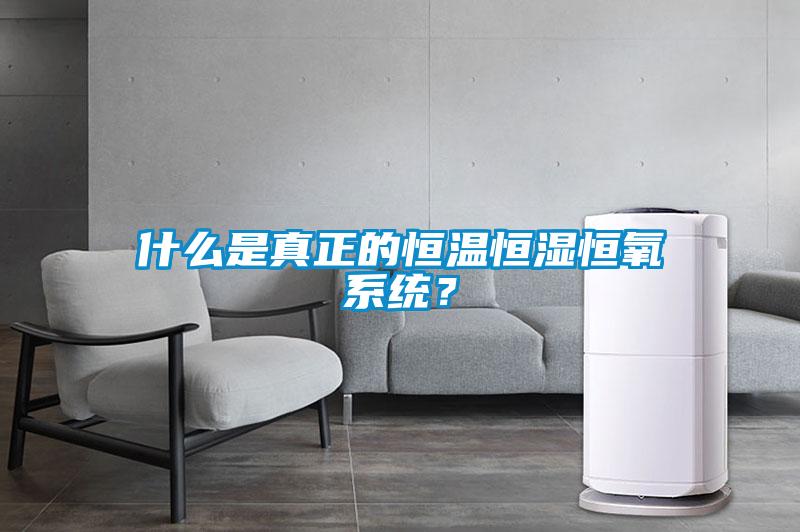 什么是真正的恒溫恒濕恒氧系統？