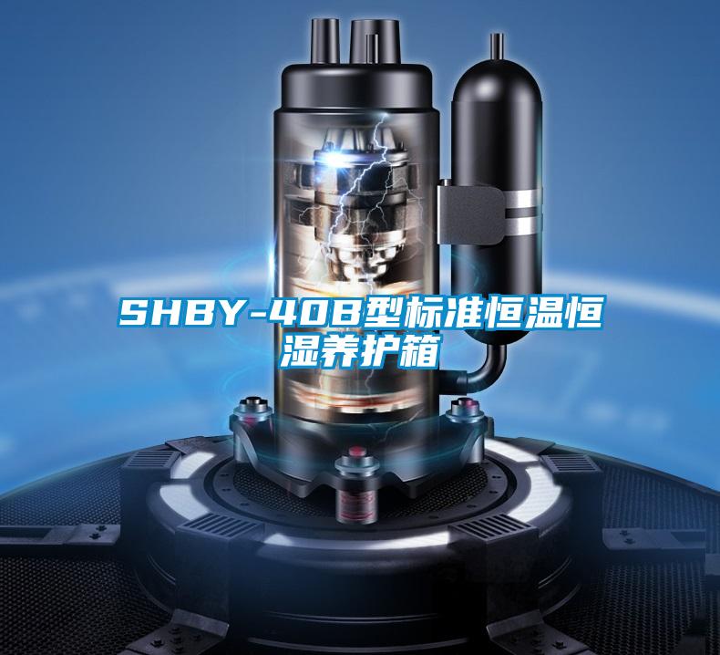 SHBY-40B型標(biāo)準(zhǔn)恒溫恒濕養(yǎng)護箱