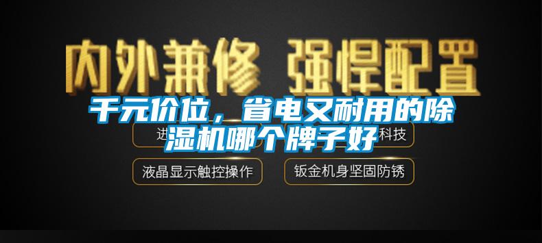 千元價位，省電又耐用的除濕機哪個牌子好
