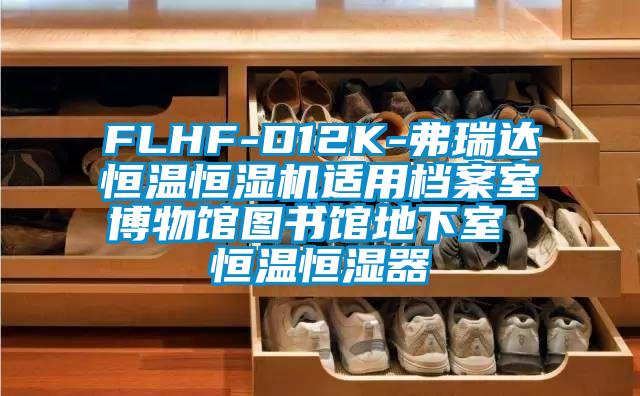 FLHF-D12K-弗瑞達恒溫恒濕機適用檔案室博物館圖書館地下室 恒溫恒濕器