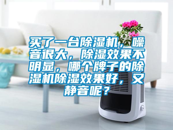 買了一臺除濕機，噪音很大，除濕效果不明顯，哪個牌子的除濕機除濕效果好，又靜音呢？