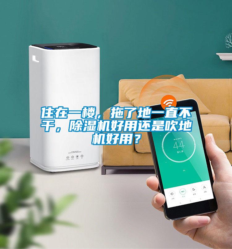 住在一樓，拖了地一直不干，除濕機(jī)好用還是吹地機(jī)好用？