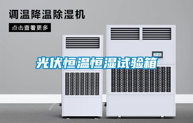 光伏恒溫恒濕試驗箱