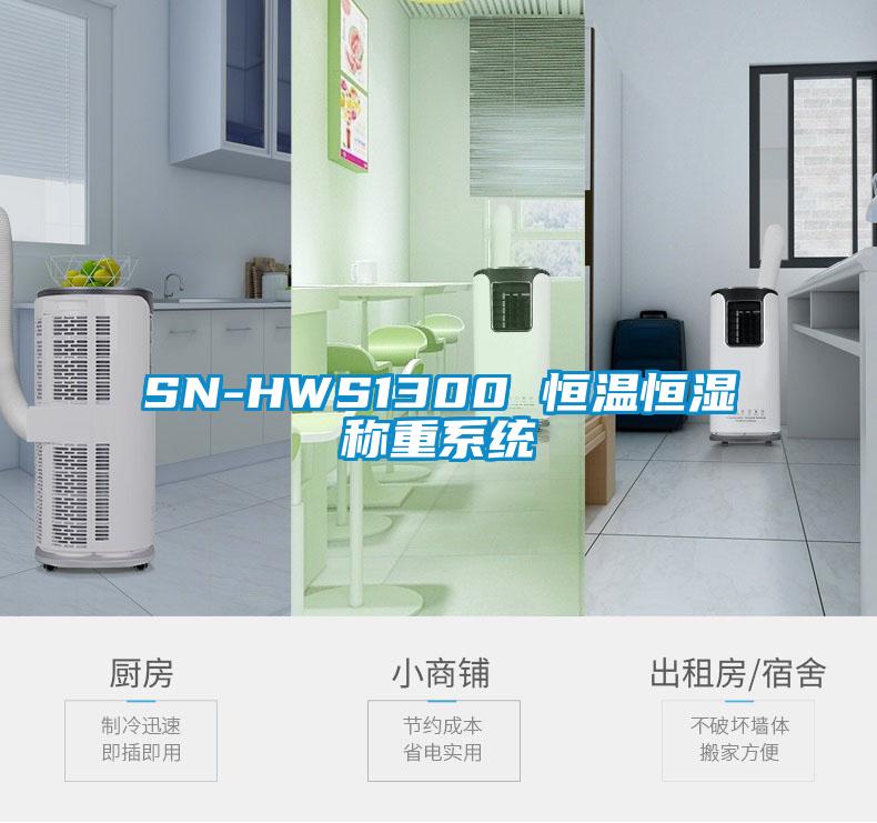 SN-HWS1300 恒溫恒濕稱重系統